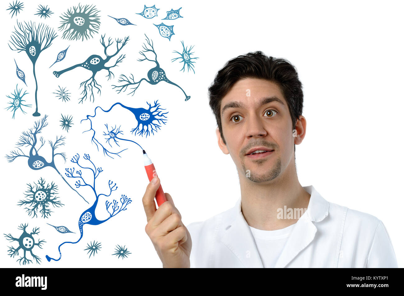 Young scientist or medical specialist explains about different types of brain cells Stock Photo