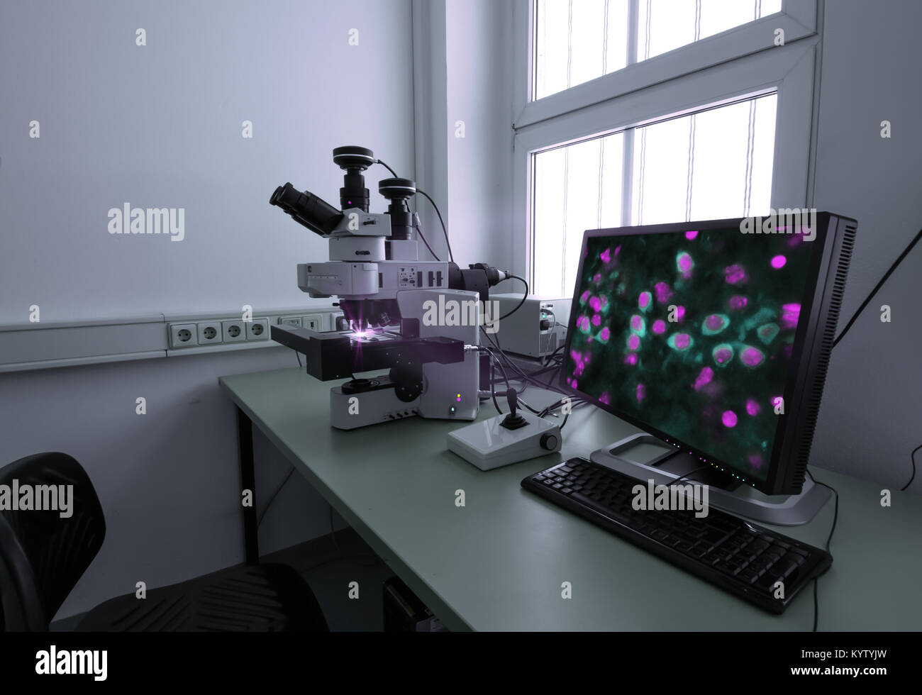 Modern fluorescent microstope working station Stock Photo