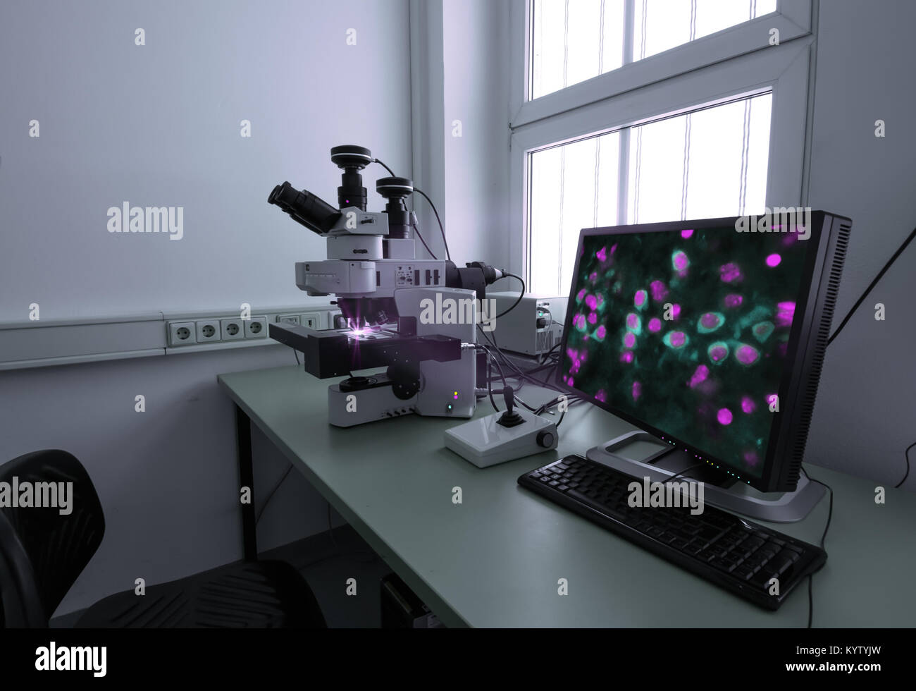 Confocal microscopy hi-res stock photography and images - Alamy