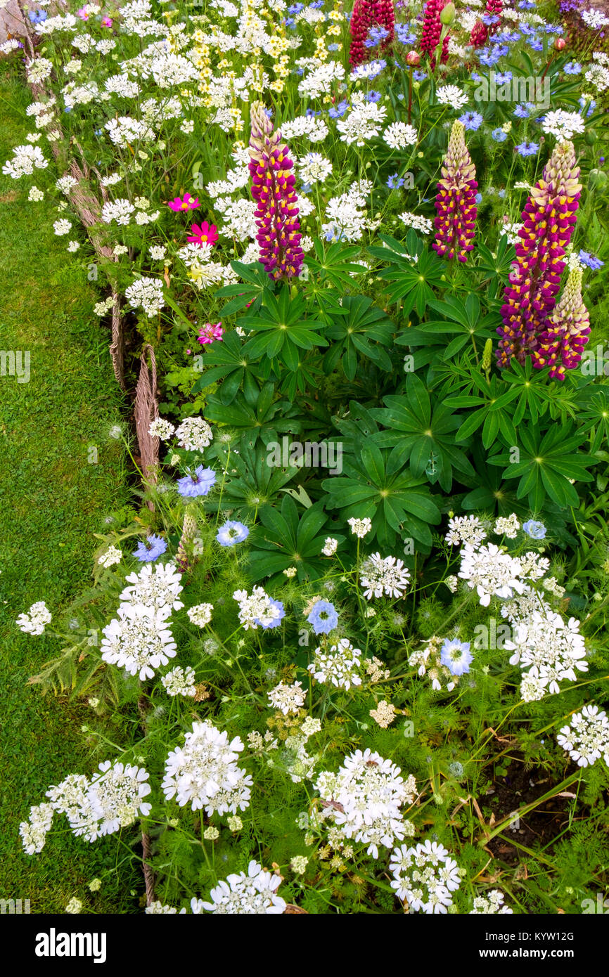 Cottage garden border hires stock photography and images Alamy