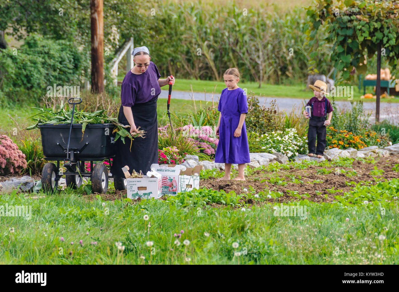 Family working in the garden in Amish Country in Pennsylvania, USA
