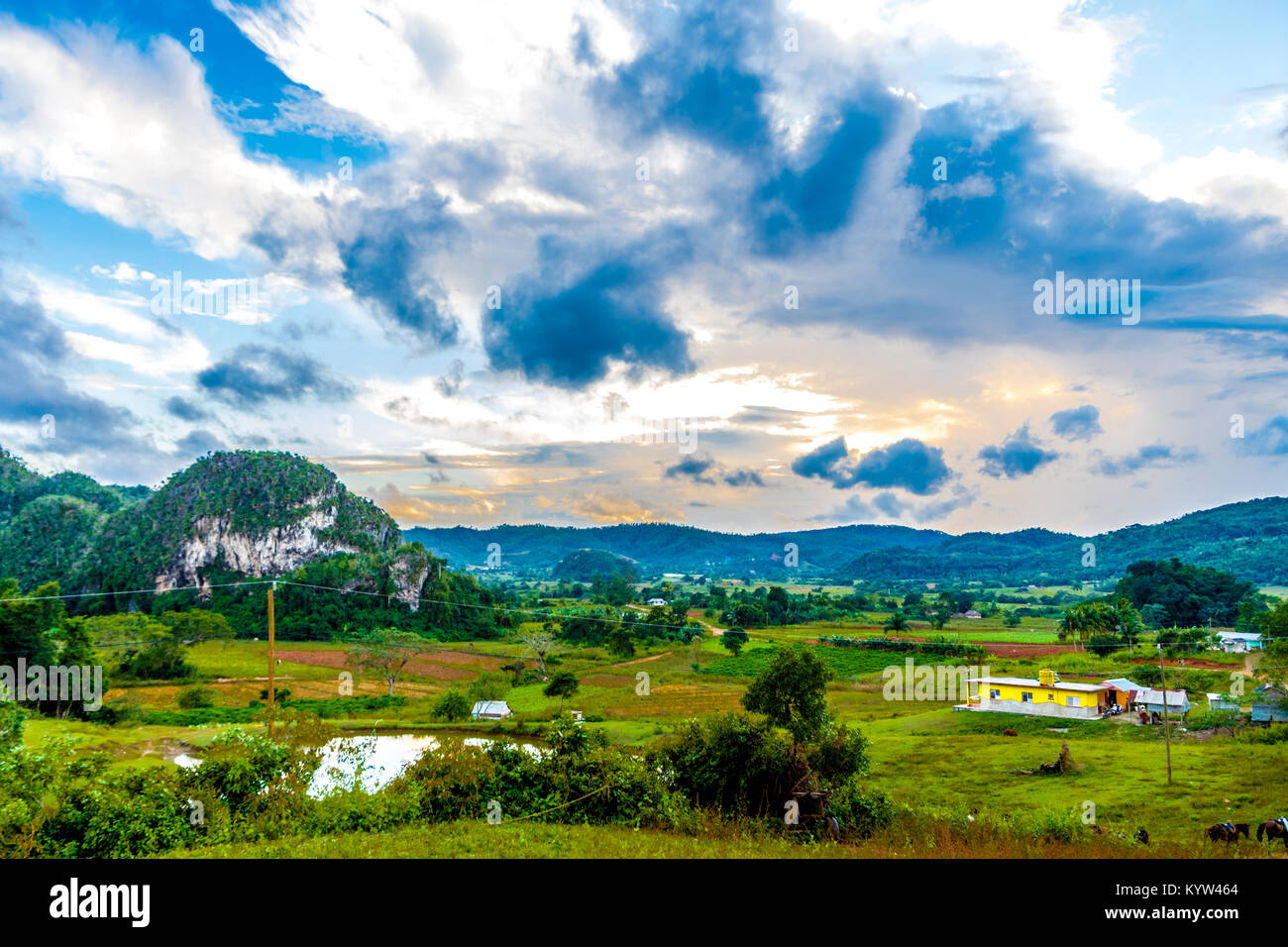 Vi ales valley view in Cuba. Unreal nature wih lakes, mountain, trees, wildlife- Stock Photo
