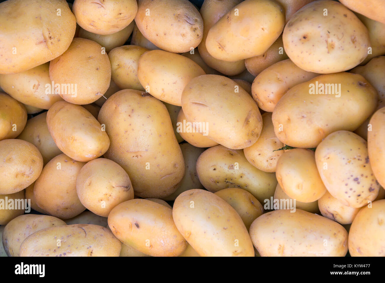 Background of fresh potatoes Stock Photo Alamy