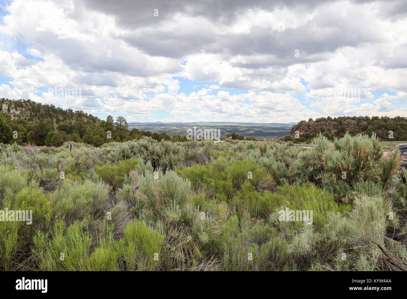 Sage Brush alongside UT-12 in Red Canyon near Panguitch, Utah Stock Photo