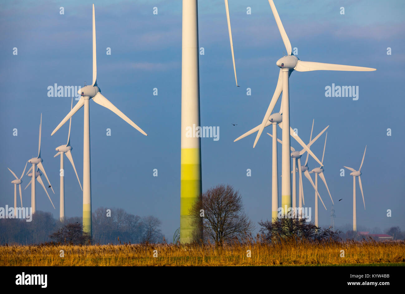 Wind energy plant, wind farm in East Frisia, Lower Saxony, Northern Germany, Stock Photo