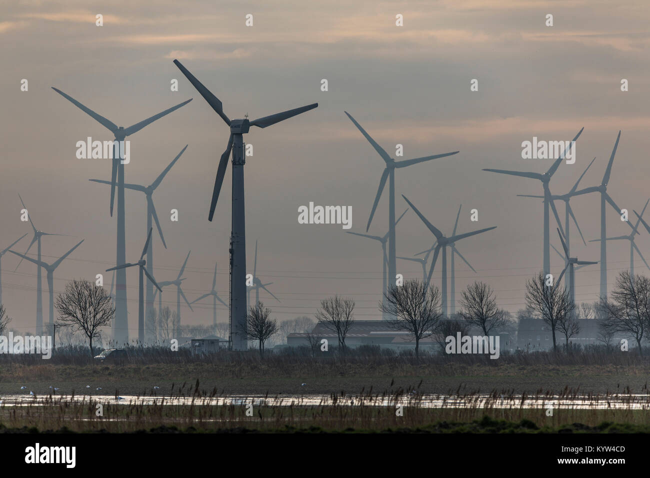 Wind energy plant, wind farm in East Frisia, Lower Saxony, Northern Germany, Stock Photo