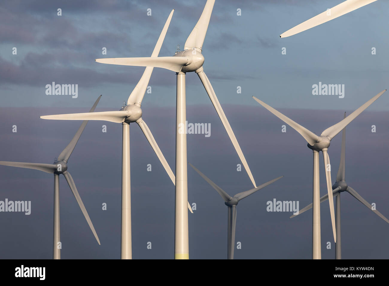 Wind energy plant, wind farm in East Frisia, Lower Saxony, Northern Germany, Stock Photo