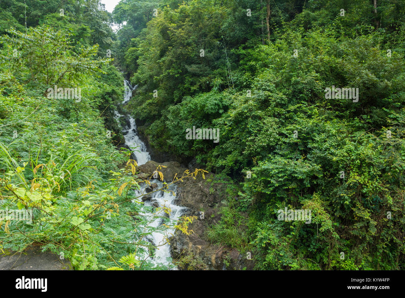 Attappadi hi-res stock photography and images - Alamy