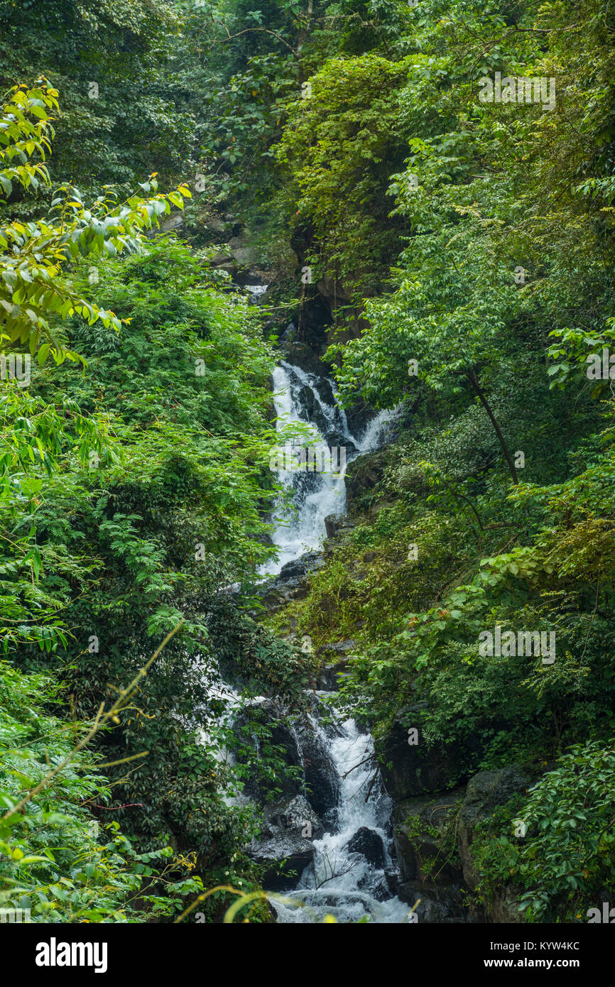 Beautiful view of forest waterfalls, located in Attappadi, Palakkad district Kerala, South India Stock Photo