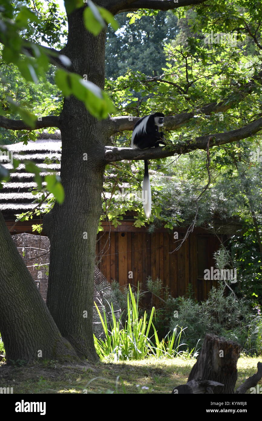 Prague, Czechia Stock Photo