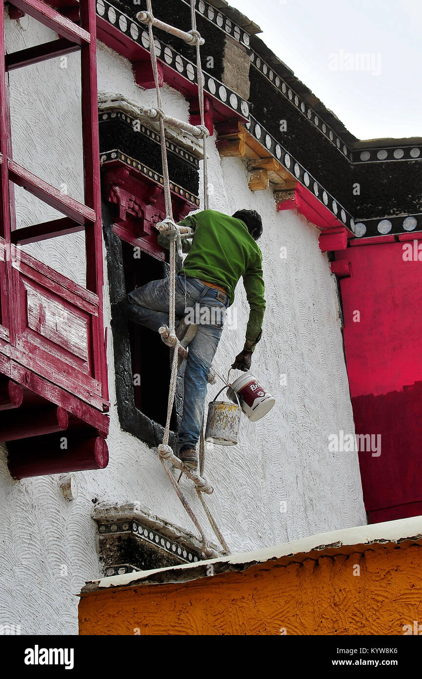 Man performing restoration work by hanging himself outside the building, Hemis Gompa, Ladakh - India Stock Photo