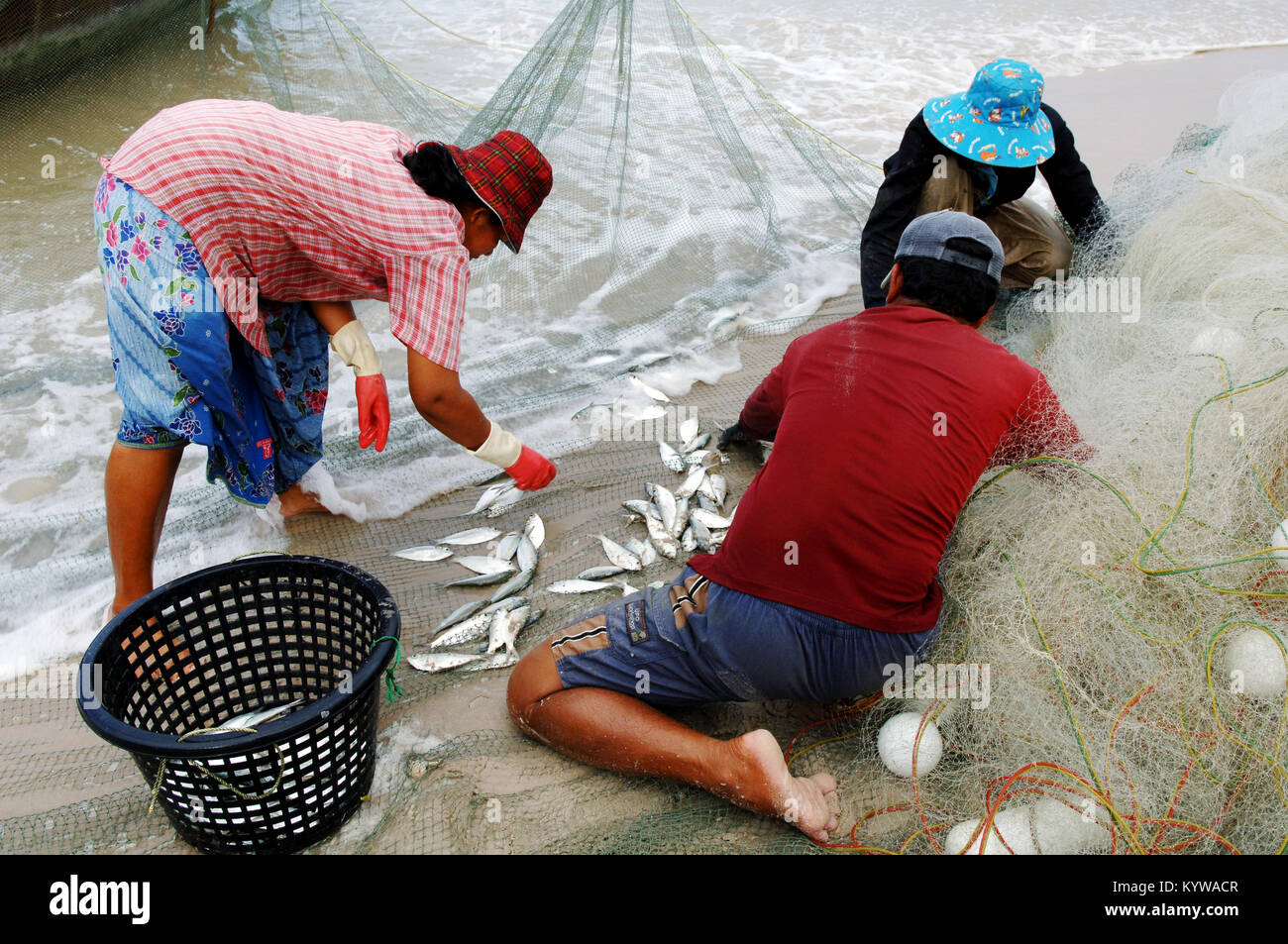 Thai Fishermen Bringing Fishes Cha Am Thailand Stock Photo Alamy