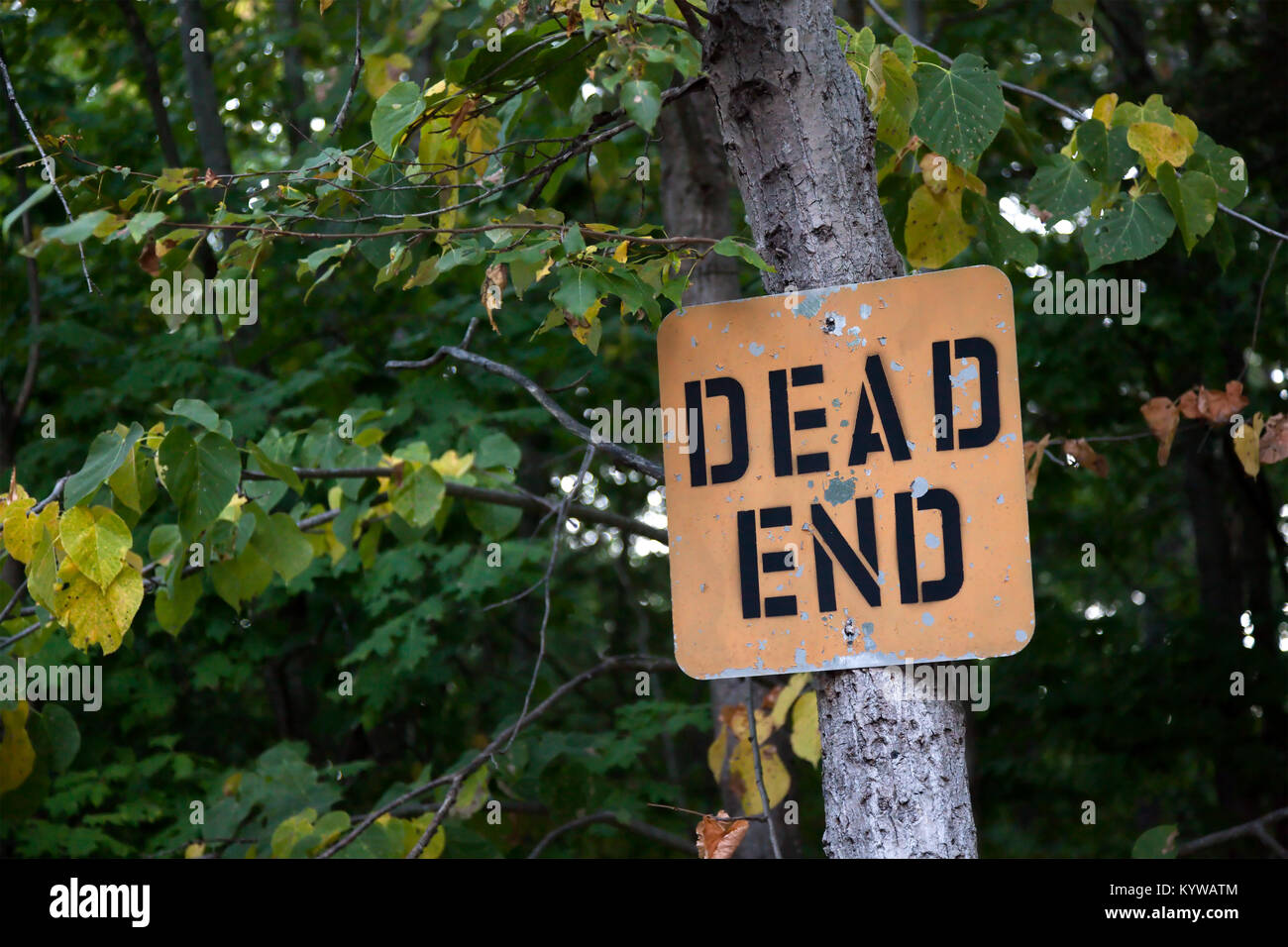 A weathered dead end sign. Stock Photo