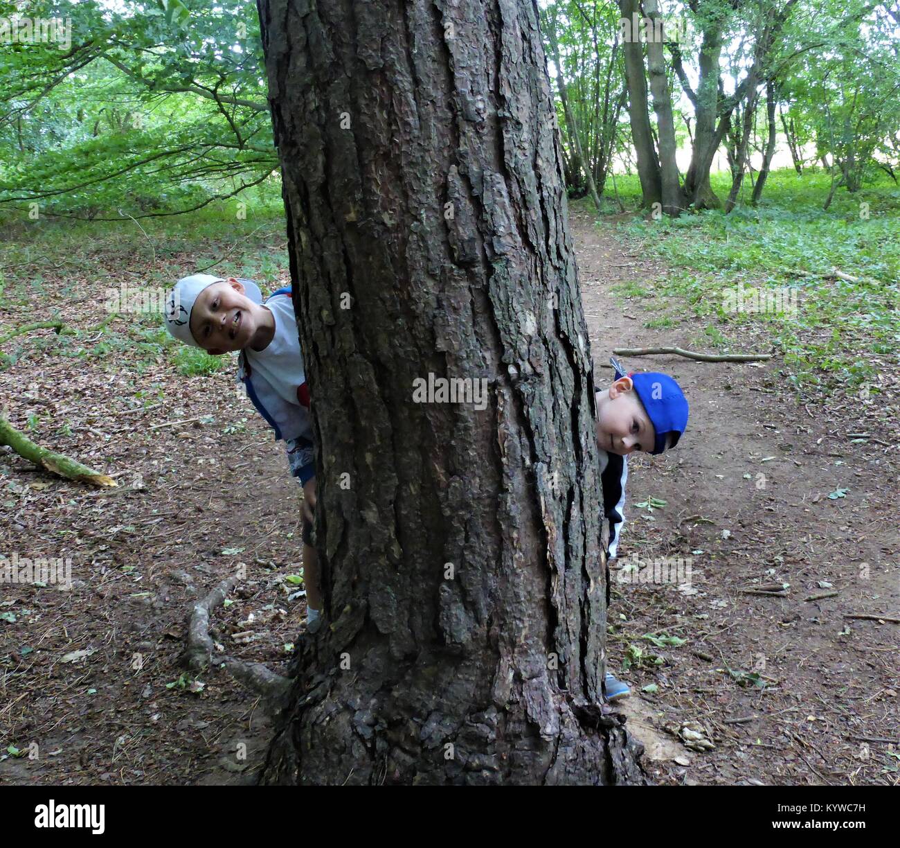 Two boys wearing baseball caps peeping out from around a big tree Stock Photo