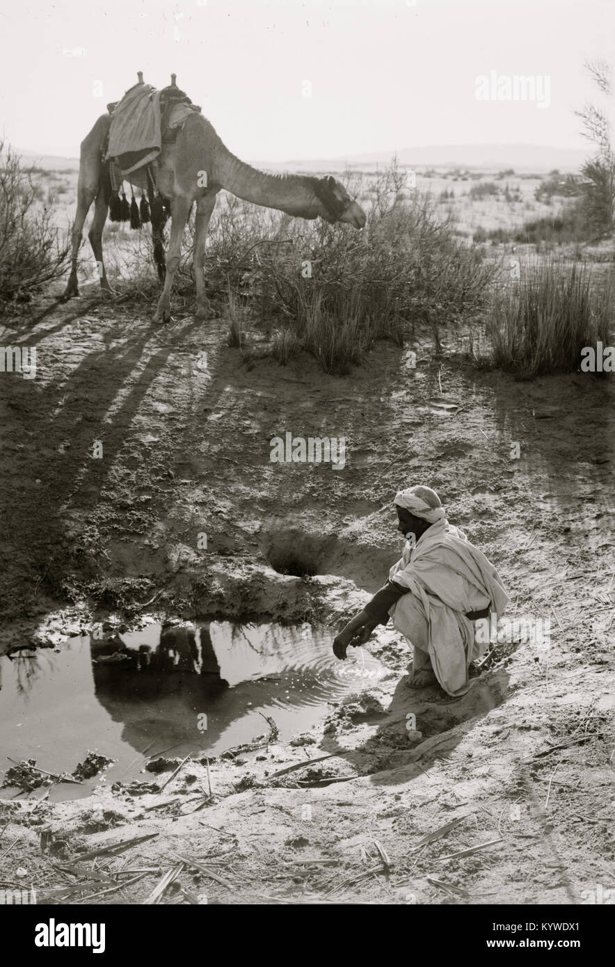 To Sinai via the desert. Bitter spring in Wady Taiybeh. Stock Photo