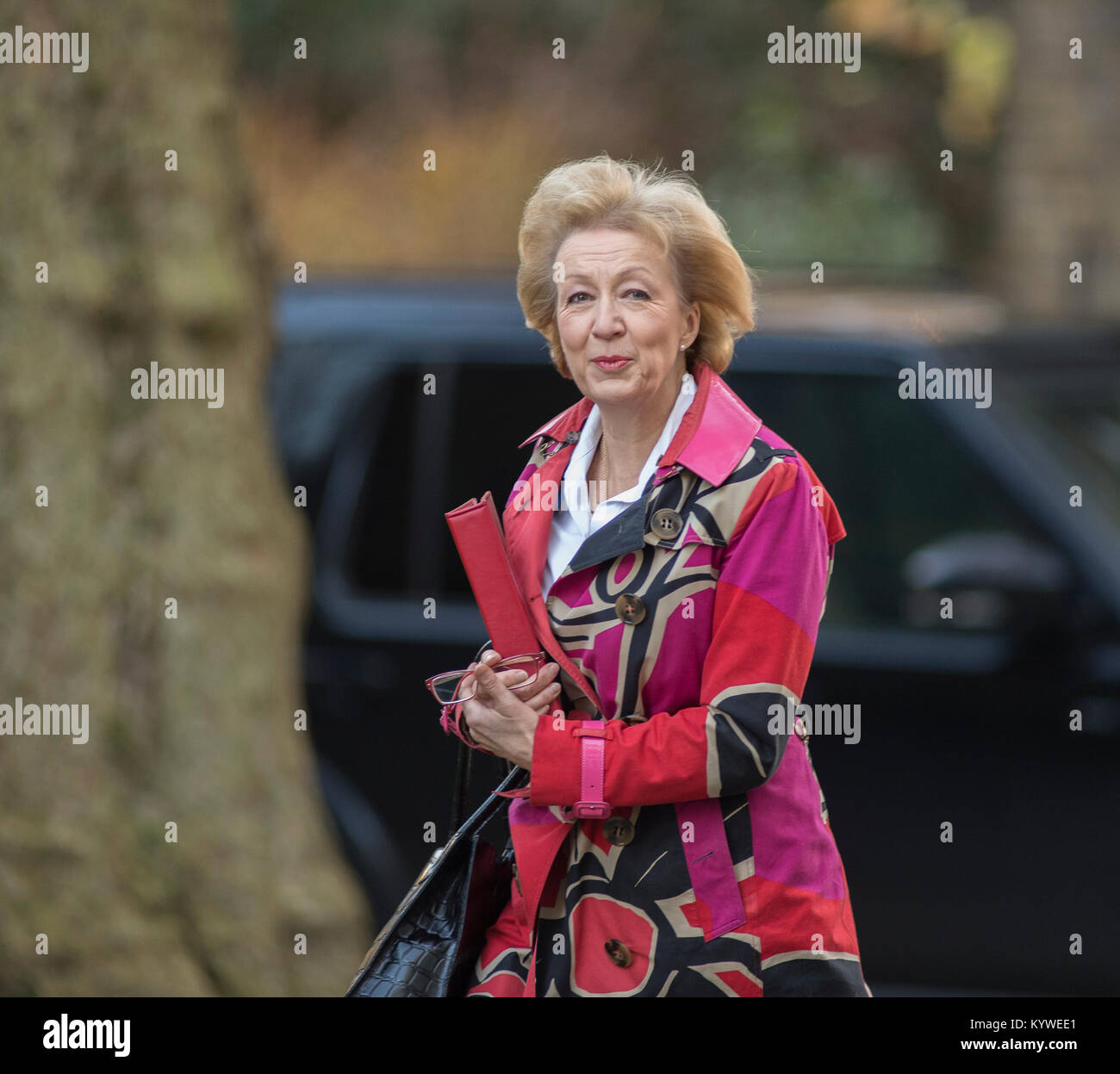 Downing Street, London, UK. 16 January 2018. Government ministers in Downing Street for weekly cabinet meeting. Leader of the House of Commons Andrea Leadsom arrives. Credit: Malcolm Park/Alamy Live News. Stock Photo