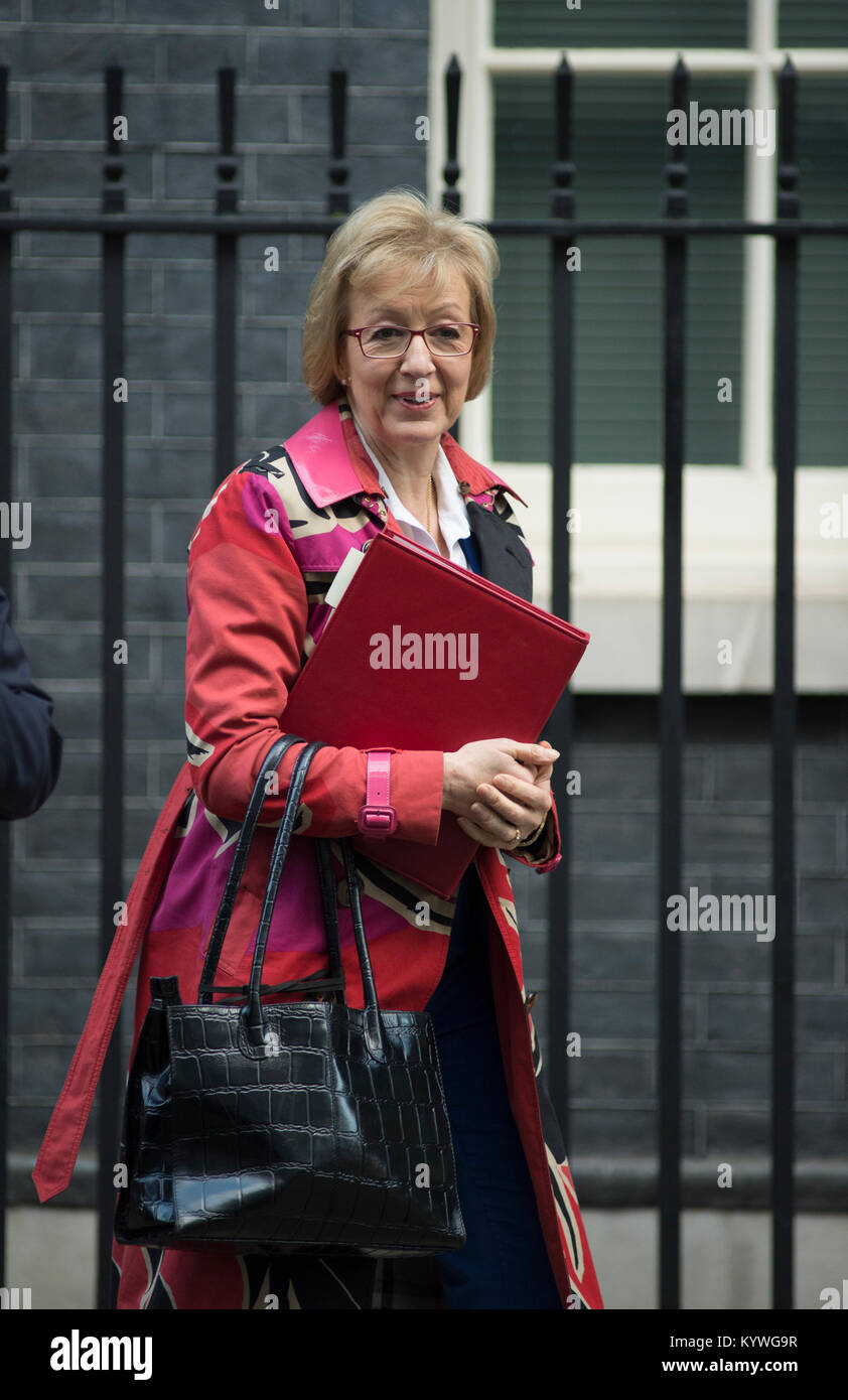 Downing Street, London, UK. 16th Jan, 2018. Government ministers in Downing Street for weekly cabinet meeting. Leader of the House of Commons Andrea Leadsom leaves. Credit: Malcolm Park/Alamy Live News. Stock Photo
