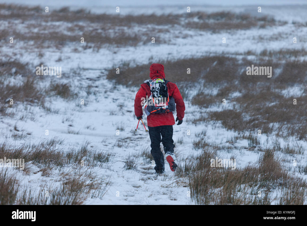 Baldersdale, County Durham UK. Tuesday 16th January 2018. Montane ® Spine ® Race competitors faced some tough winter conditions as they passed through Baldersdale in County Durham, UK, this afternoon. The 426km long Montane ® Spine ® Race is a gruelling none stop 7 day race and is one of the toughest endurance races in the world. The race starts in Edale and follows the Pennine Way, to finish in Kirk Yethholm in Scotland. Credit: David Forster/Alamy Live News Stock Photo
