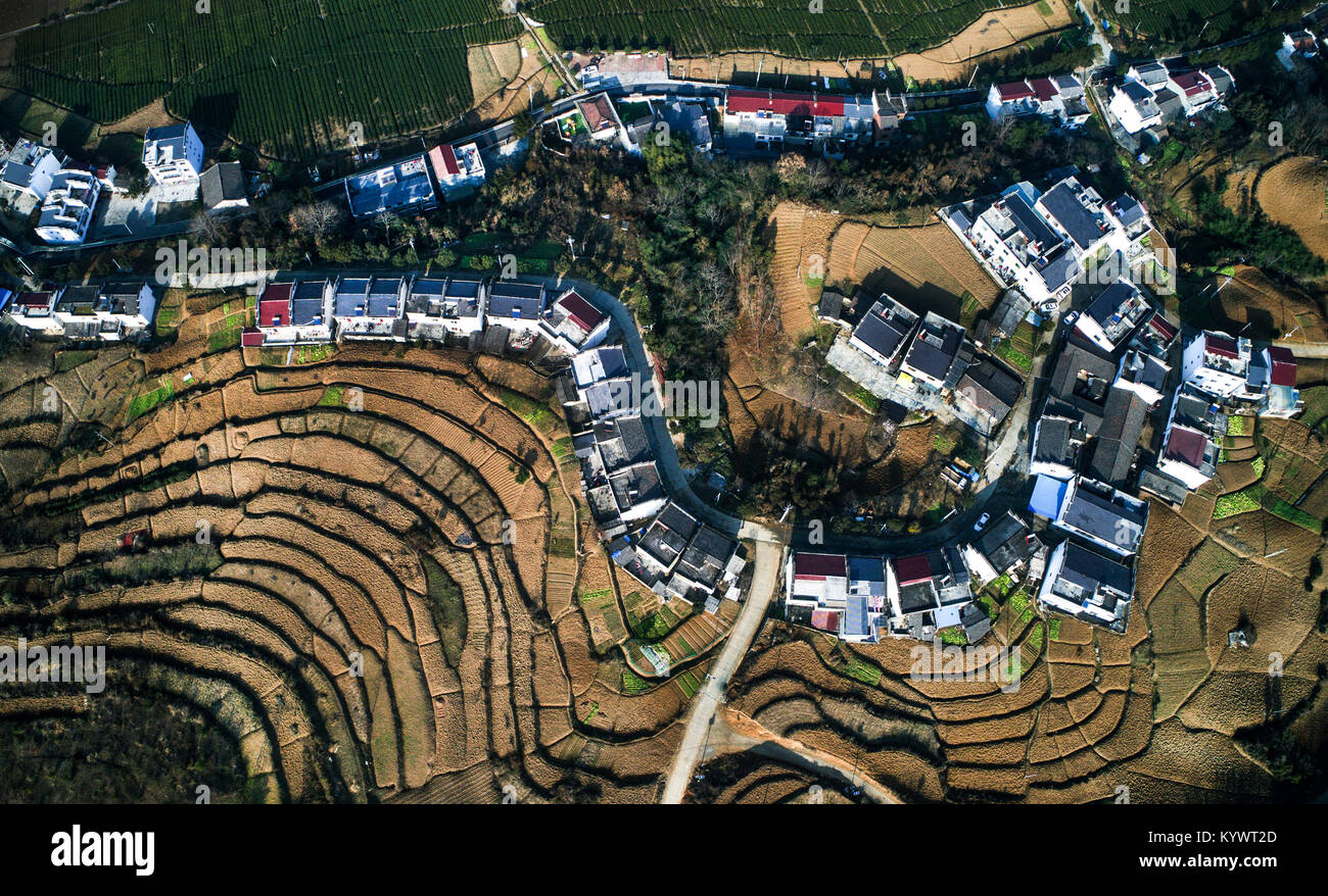 (180117) -- PINGLI, Jan. 17, 2018 (Xinhua) -- Photo taken on Jan. 16, 2018 shows the scenery of Longtou Village of Pingli County, northwest China's Shaanxi Province. Pingli County now has 12,000-hectare ecological tea and 3,333-hectare Fiveleaf Gynostemma Herb. The planting industry plays a leading role in the local economic development. (Xinhua/Tao Ming)(wsw) Stock Photo