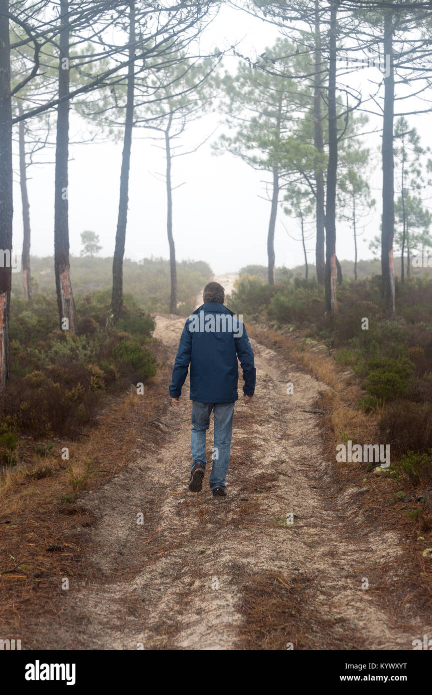 Man walking through the woods in the mist and fog, back view. Stock Photo
