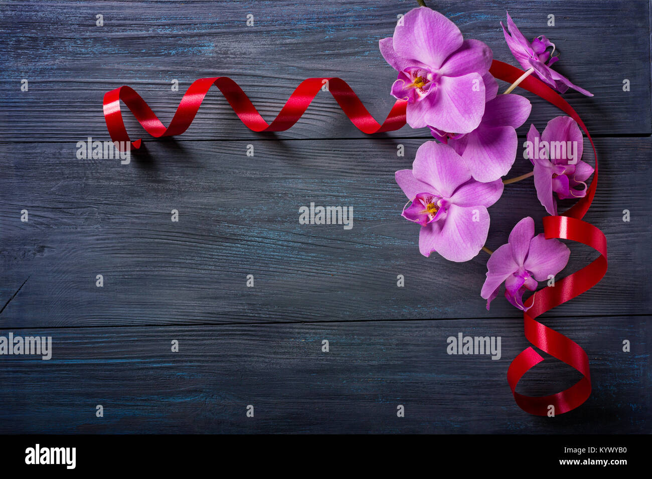 Purple Orchid  on blue, old wooden background Stock Photo