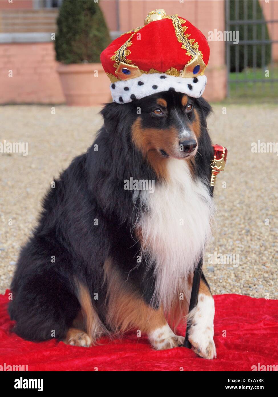 Scepter crown hires stock photography and images Alamy