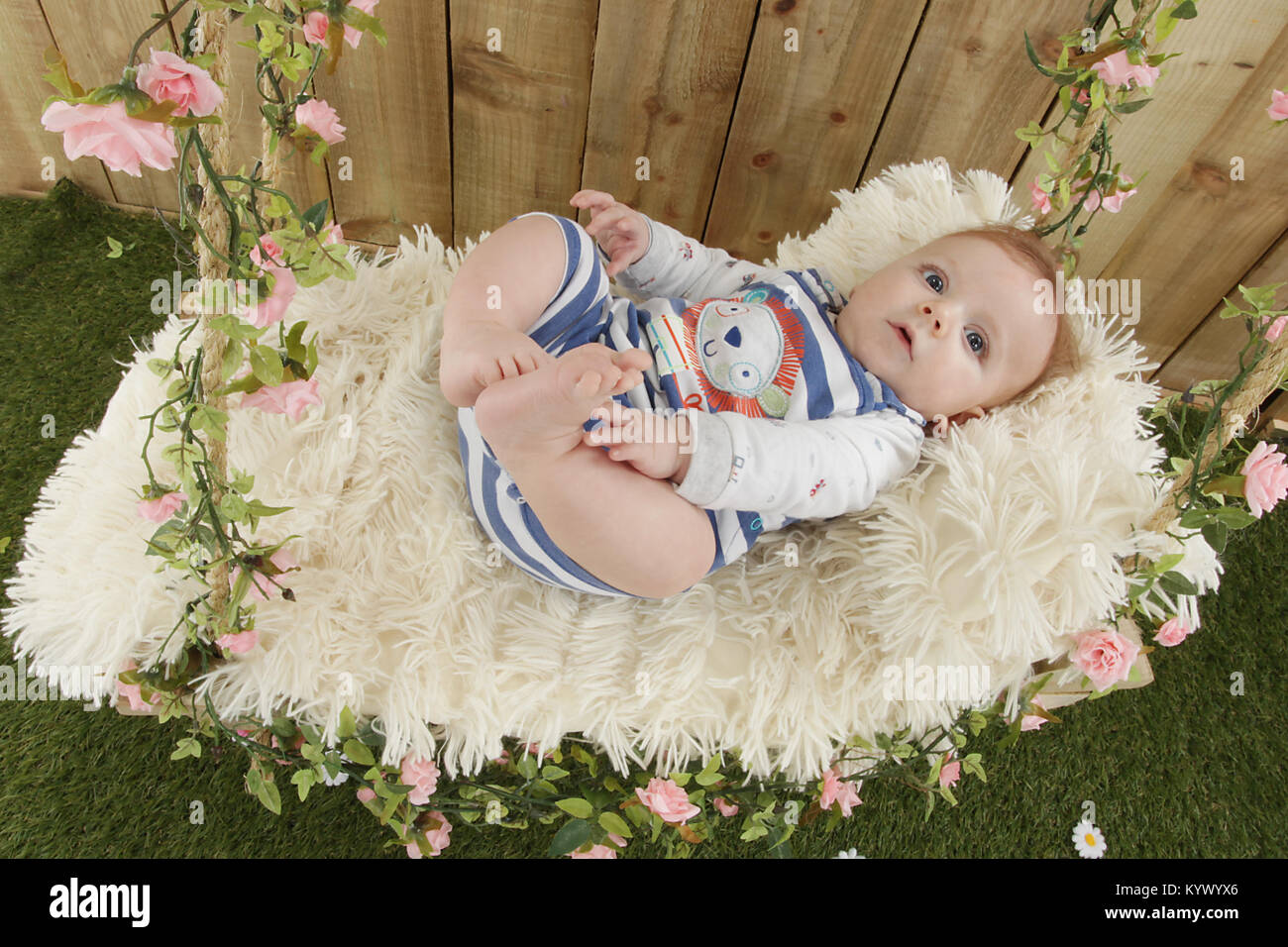 16 week old baby boy on a swing in the garden Stock Photo Alamy