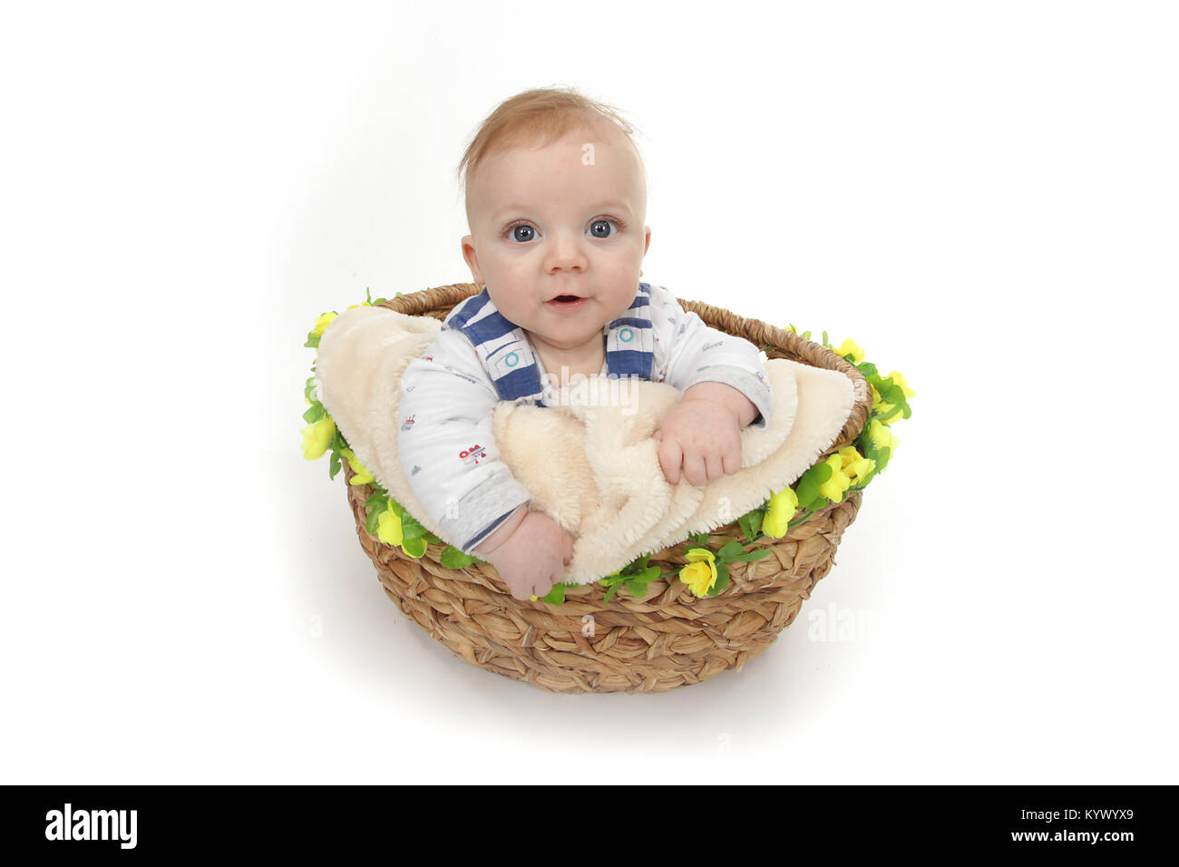 16 week old baby boy exploring in a basket Stock Photo