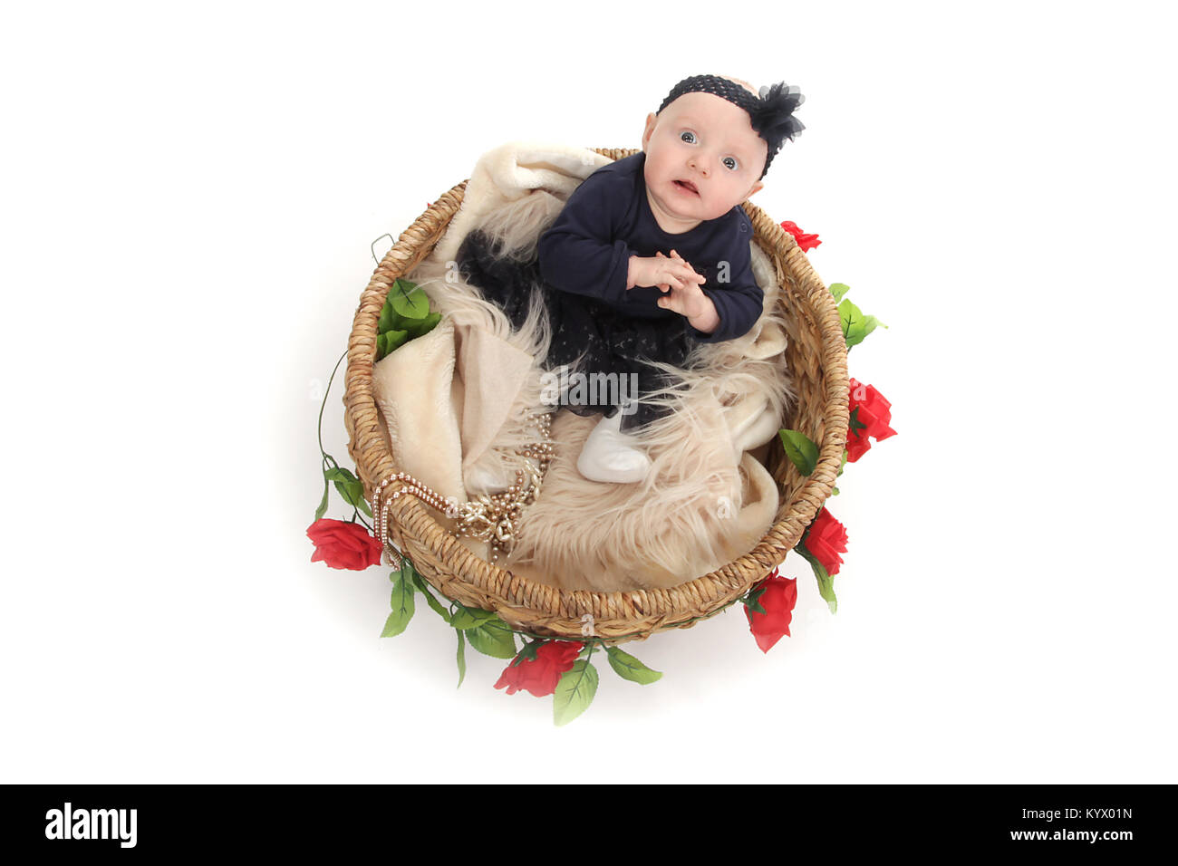 5 month old baby girl with in black dress sitting in a basket Stock Photo