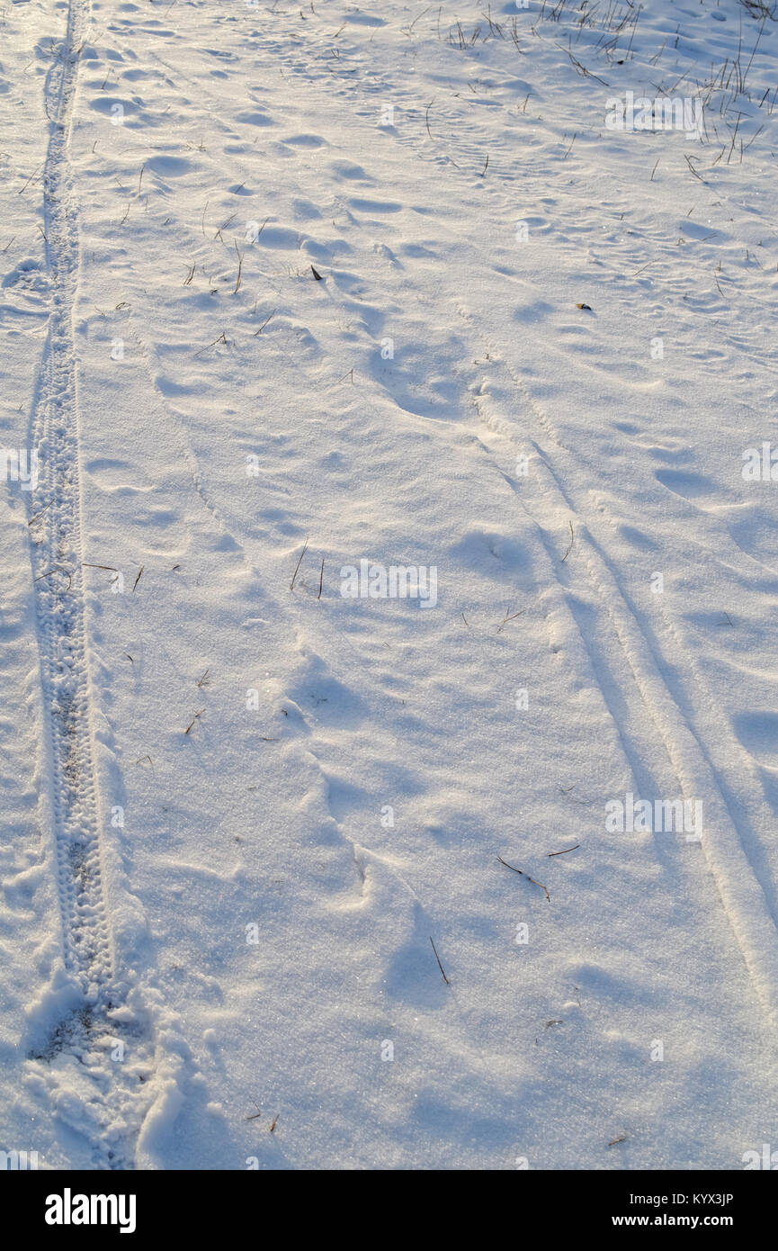 Tire marks in the snow hires stock photography and images Alamy