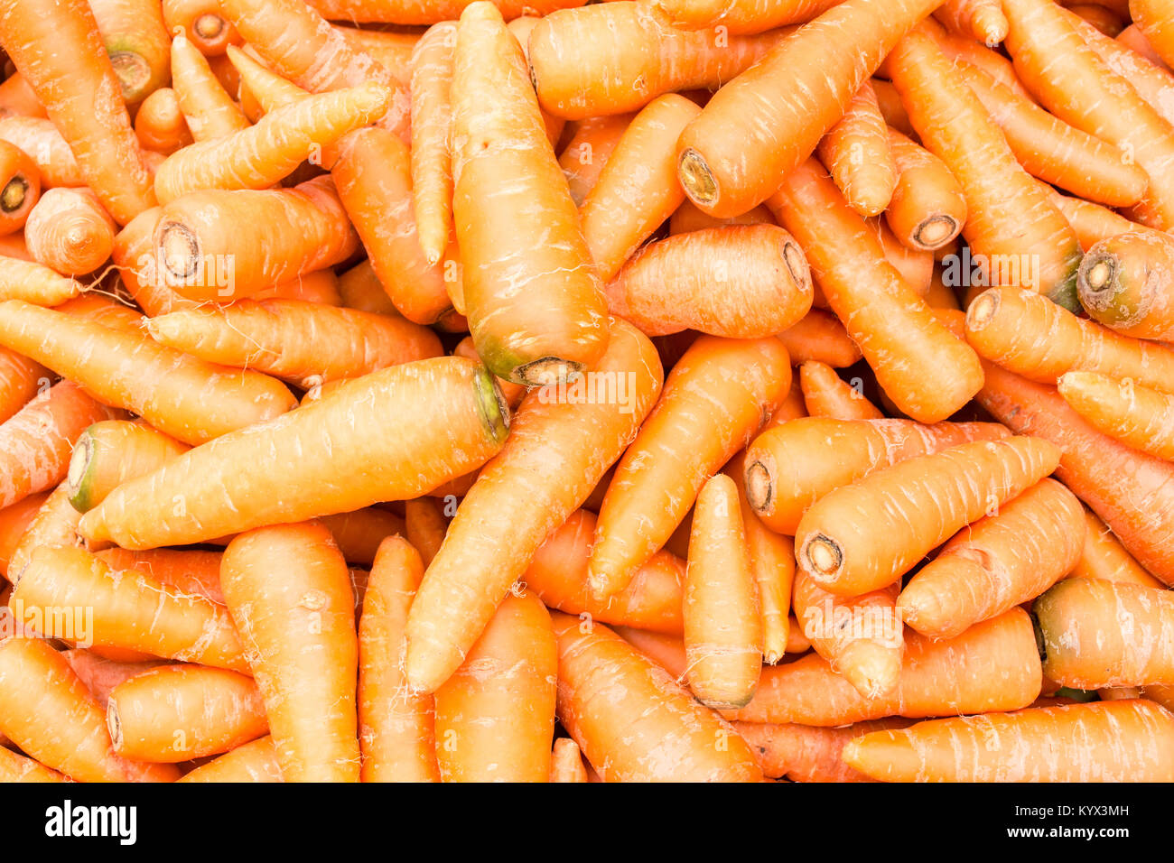 closeup photo of fresh carrots Stock Photo