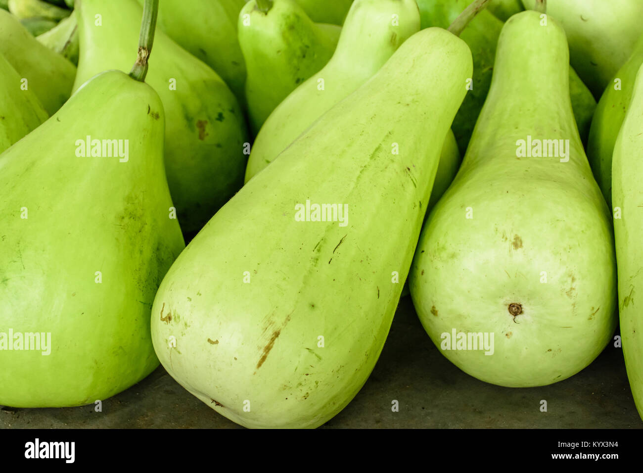 Edible gourds hires stock photography and images Alamy