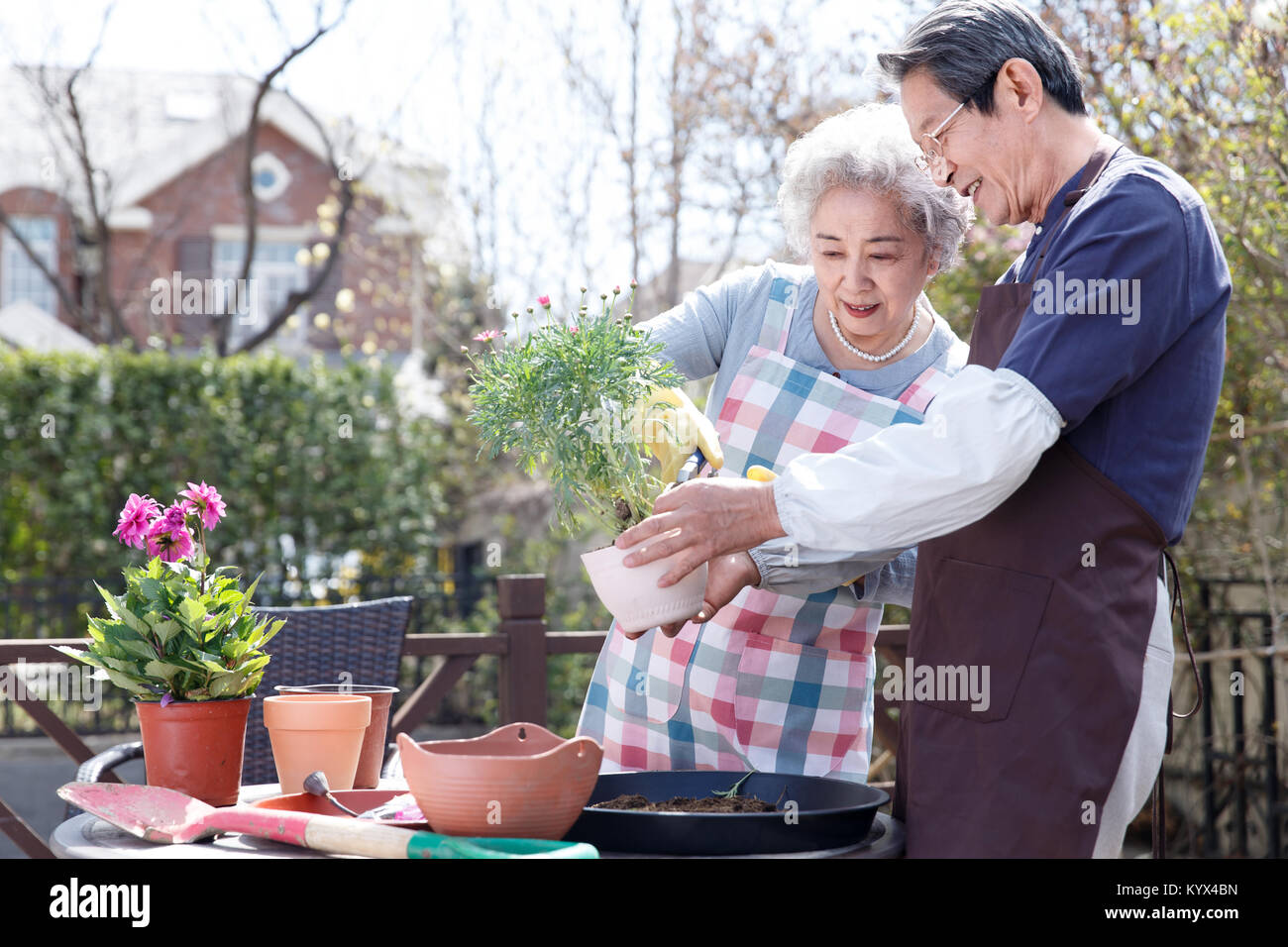 Where To Meet Russian Senior Citizens In Australia