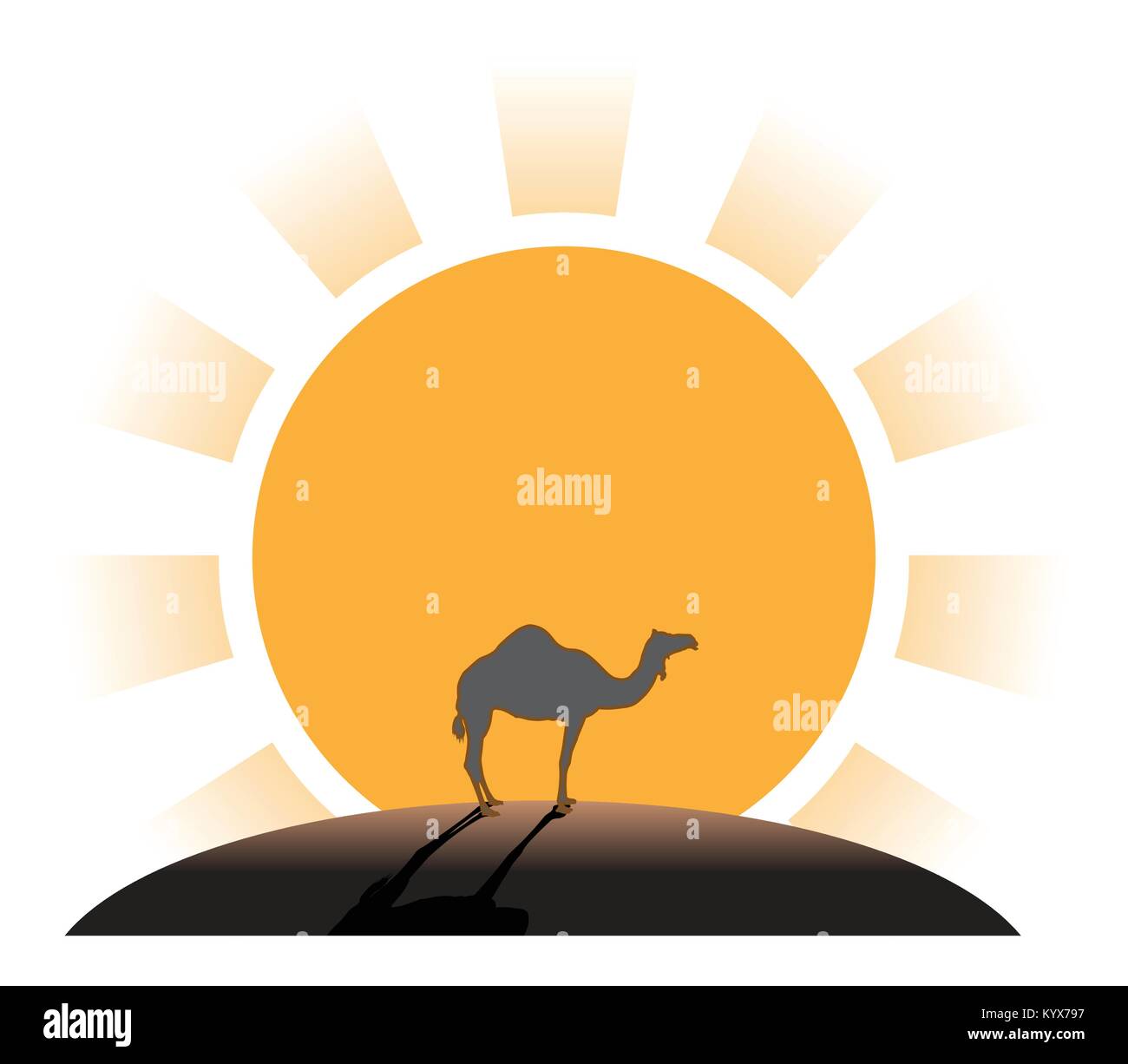 Silhouette of camel on sunset in desert Stock Vector