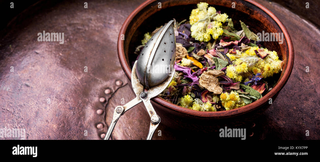 Herbal medicinal collection plant for tea.Herbal tea Stock Photo - Alamy
