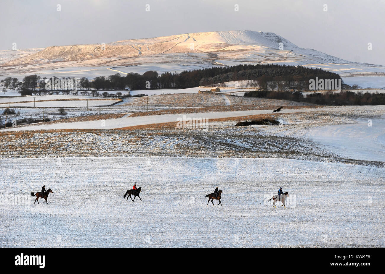 The Pennine hilltops are covered with snow as riders make their way onto the gallops at Middleham Moor near Leyburn, as yellow snow and ice warnings are in place for northern England and Northern Ireland and much of Wales. Stock Photo