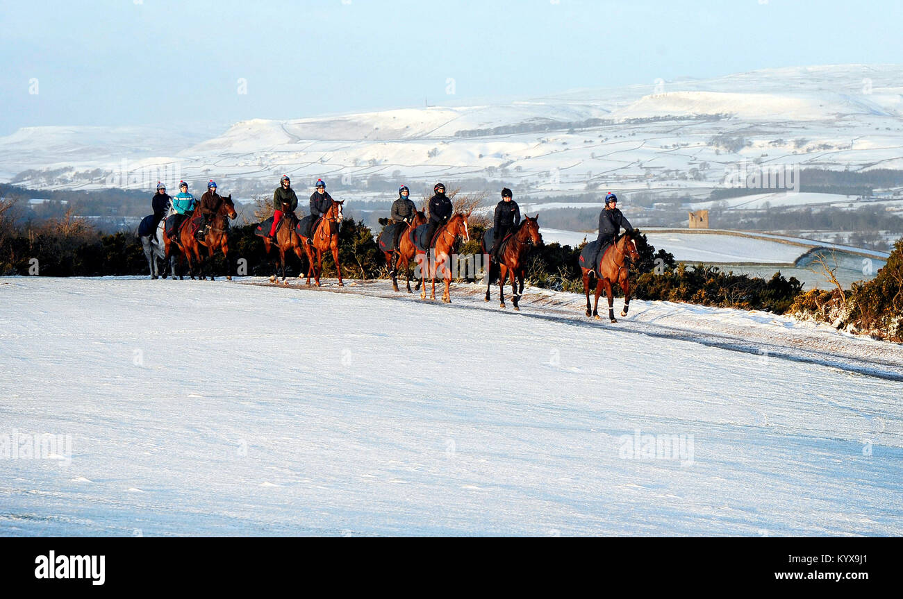 Racehorses make their way along snow covered roads to the gallops on Middleham Moor near Leyburn, as yellow snow and ice warnings are in place for northern England and Northern Ireland and much of Wales. Stock Photo