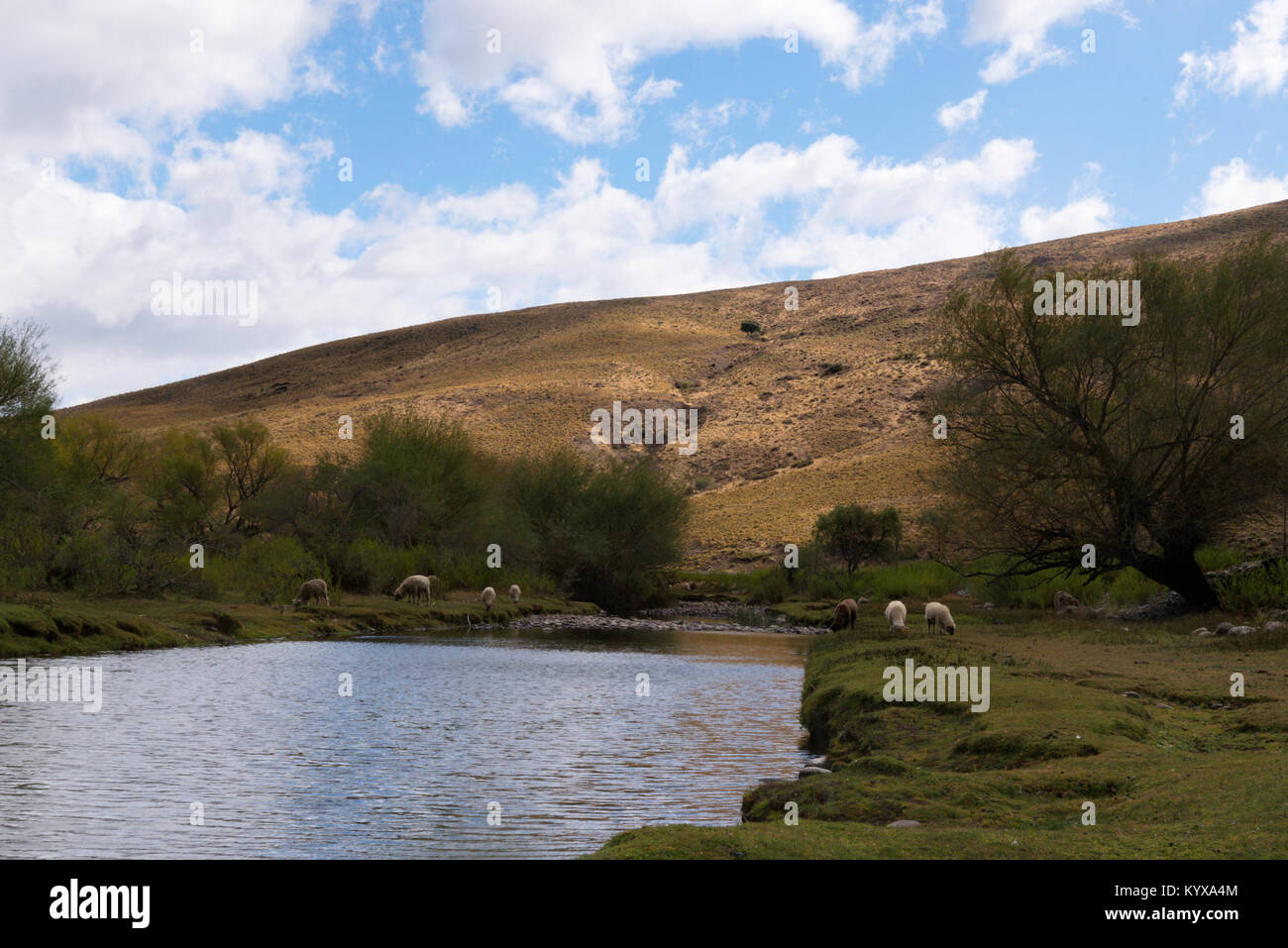 The Neuquén Province landscape, Argentina Stock Photo