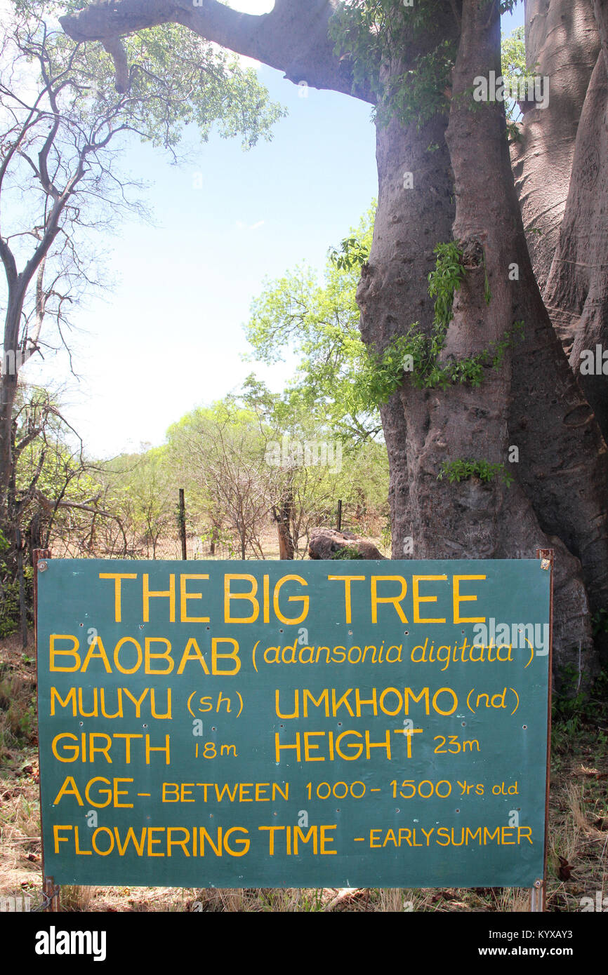 Information board; aobab, Victoria Falls Private Game Reserve, Zimbabwe