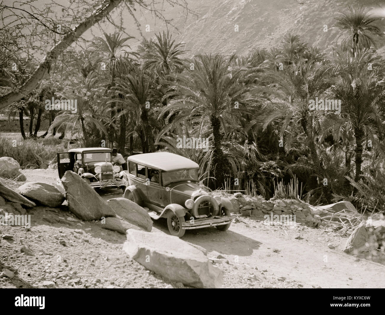 Cars Travel the Sinai Desert Stock Photo Alamy