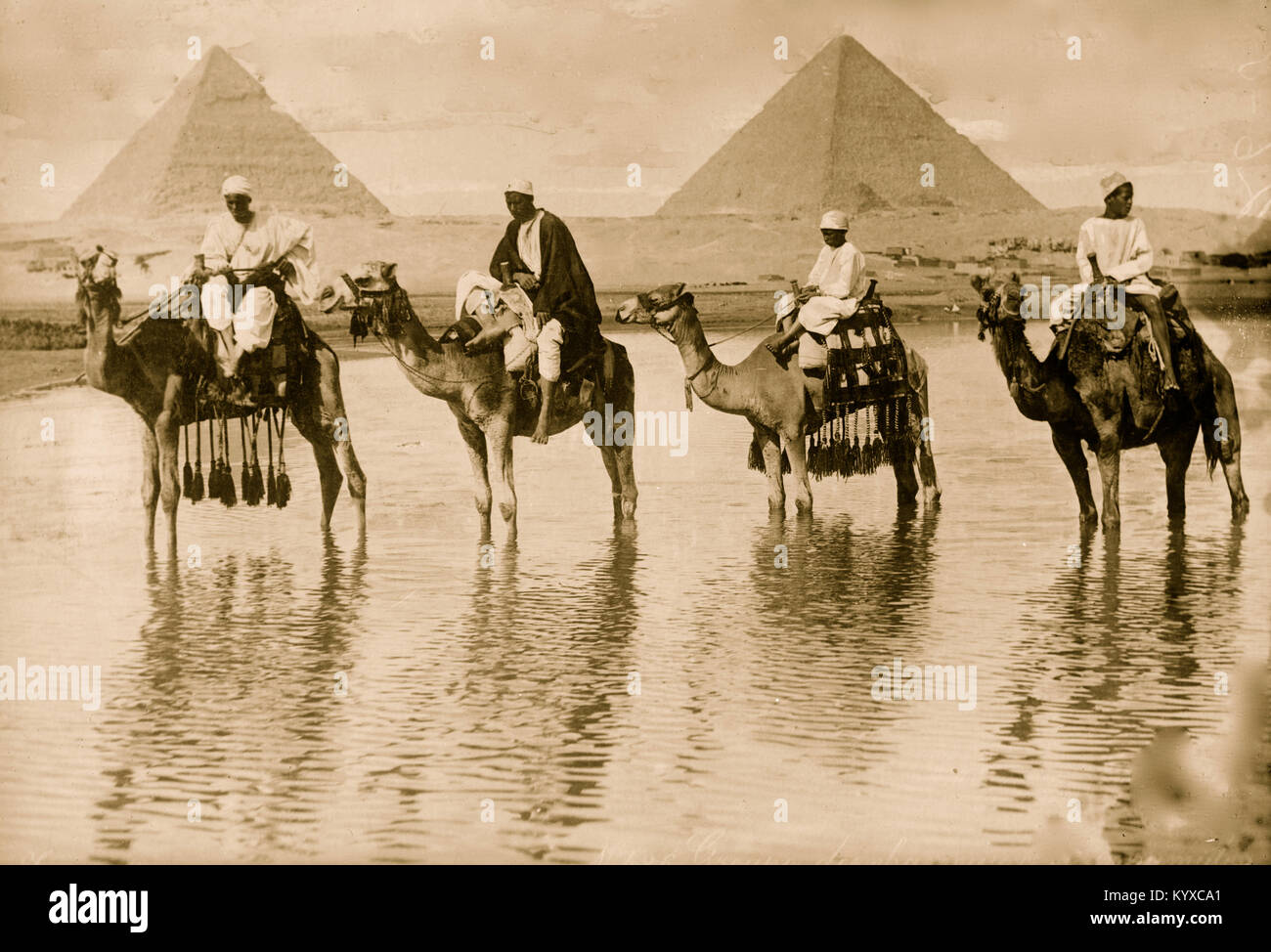 Camel men & pyramids, Egypt Stock Photo