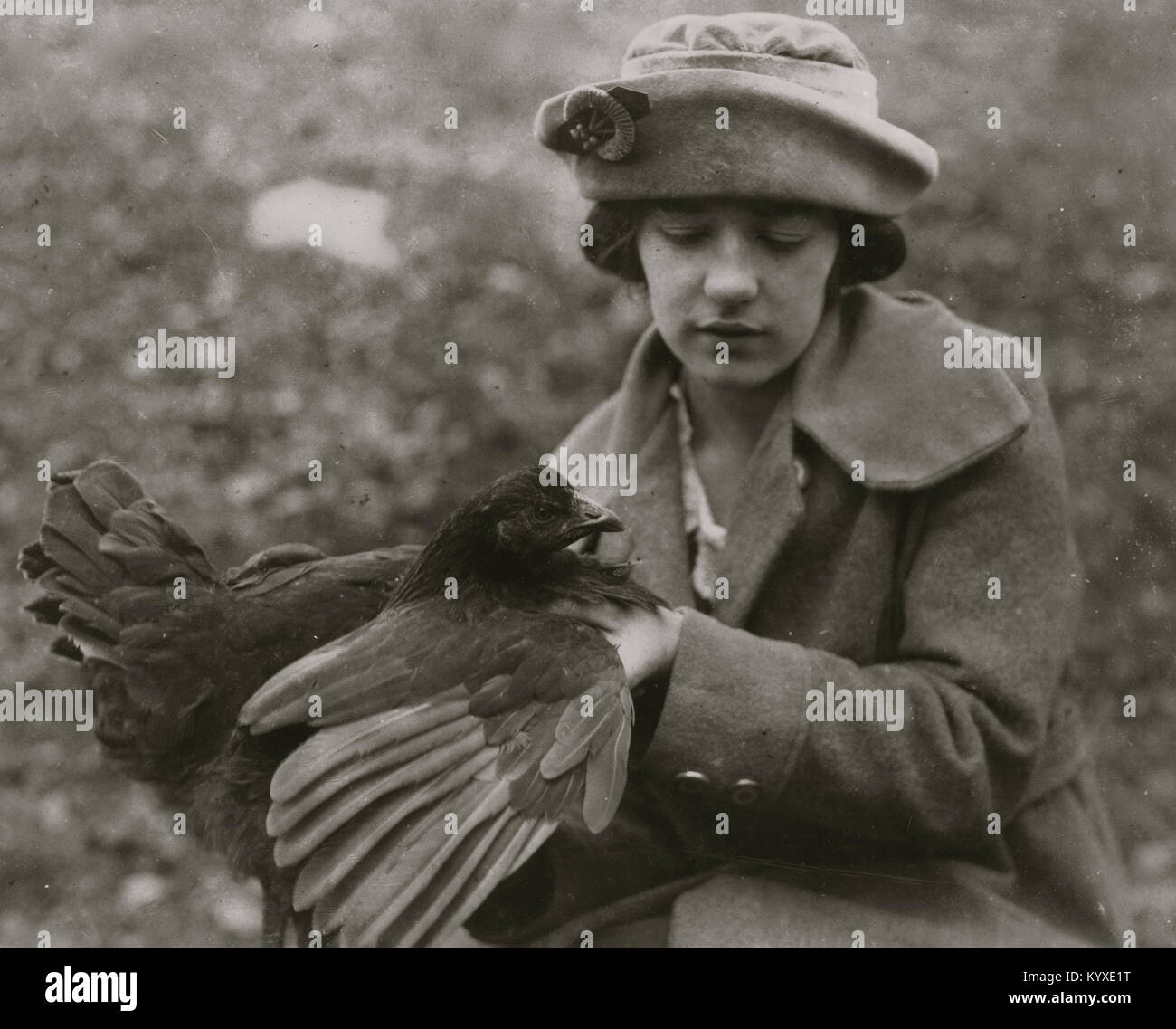 Susie Kellison, raising chickens. Examining the wing and looking for smut. 250 of these boys and girls in the Club work in this Co. Stock Photo