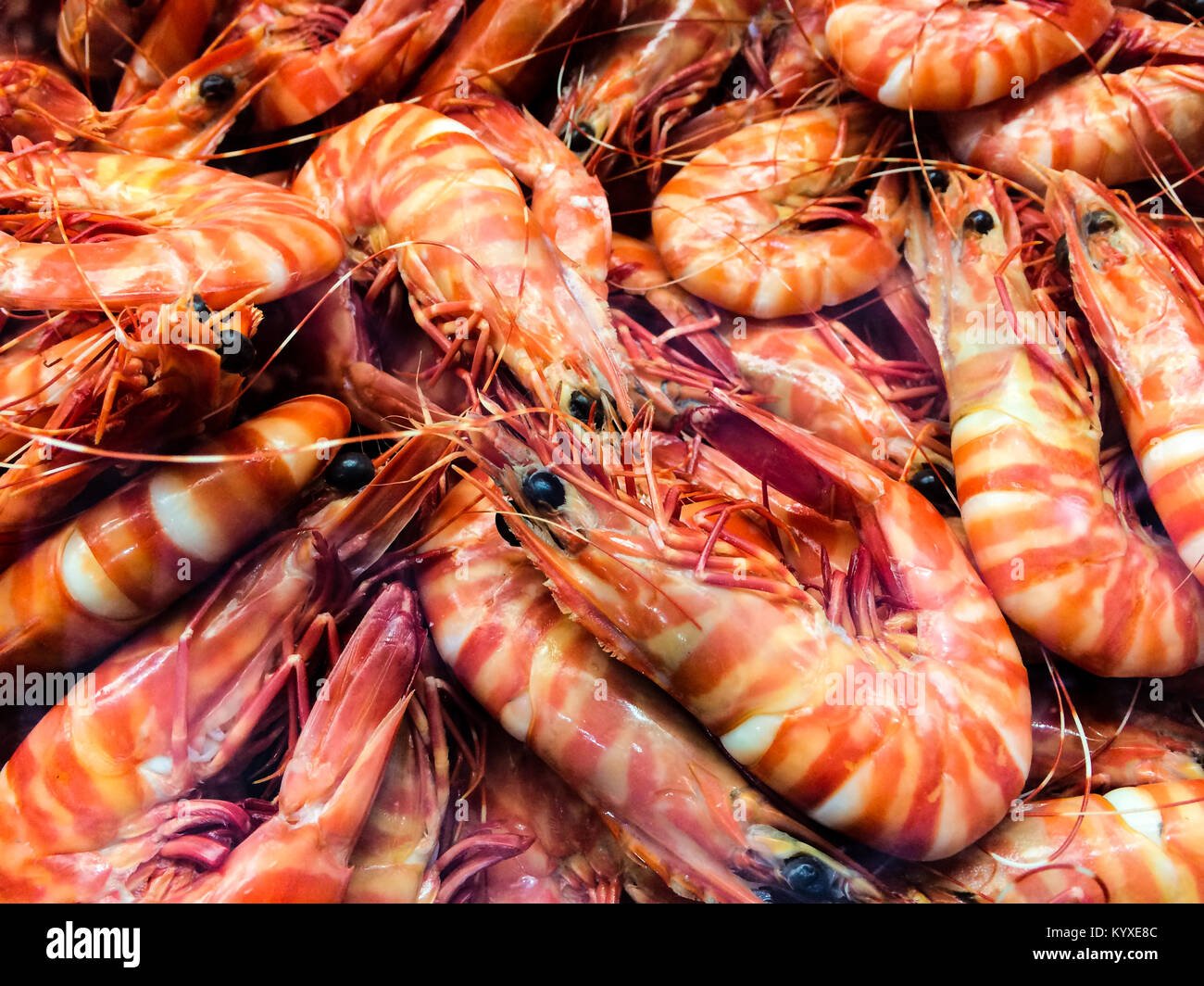 Cooked prawns in shell hires stock photography and images Alamy