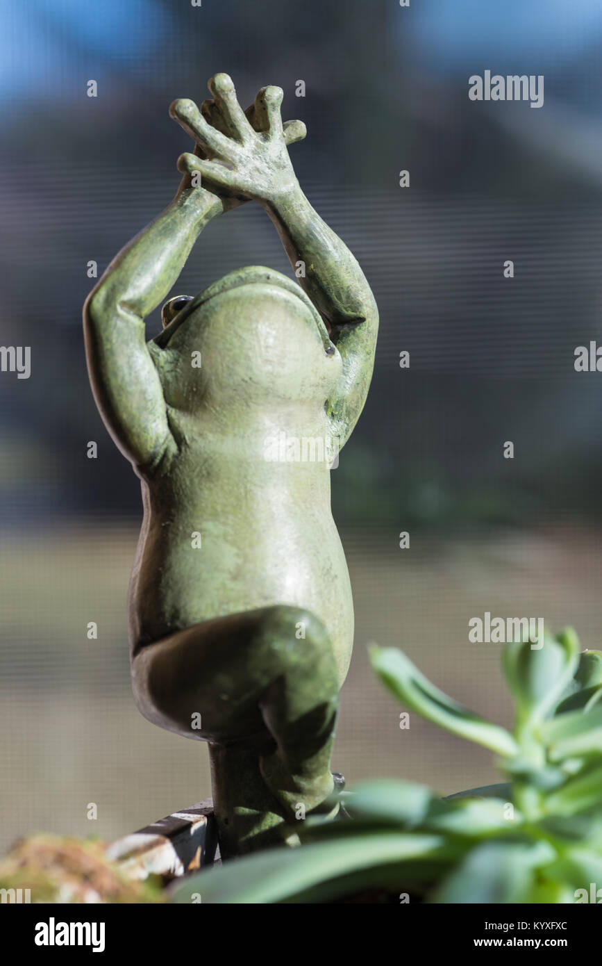 Frog pose hires stock photography and images Alamy