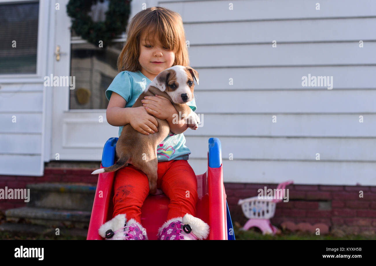 A toddler girl holds a beagle puppy on a red slide in the summer. Stock Photo