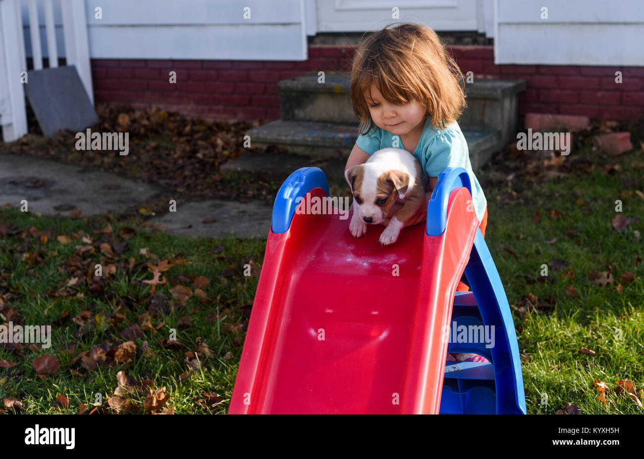 A toddler girl holds a beagle puppy on a red slide in the summer. Stock Photo