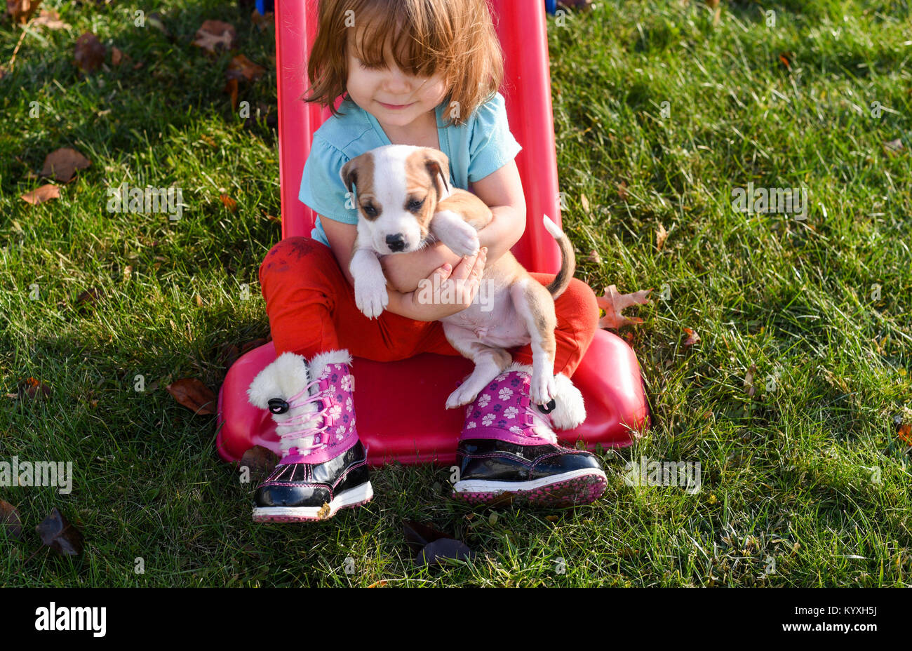 A toddler girl holds a beagle puppy on a red slide in the summer. Stock Photo