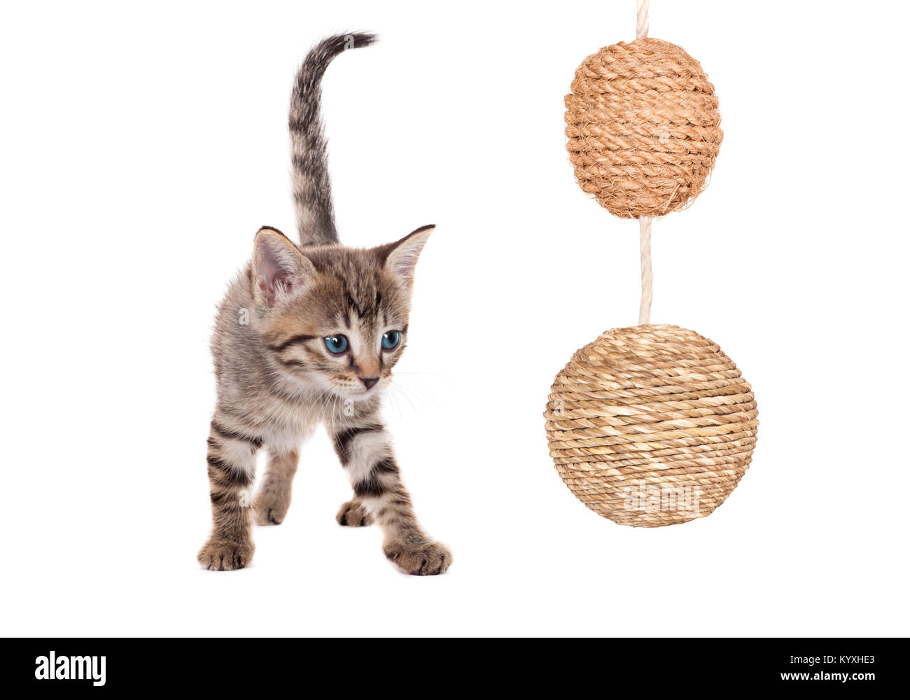 Various kittens with balls isolated on white Stock Photo