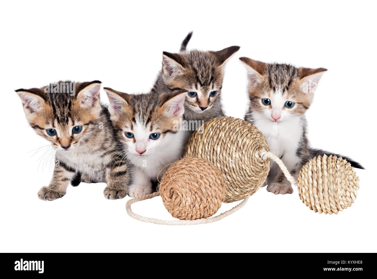 Various kittens with balls isolated on white Stock Photo