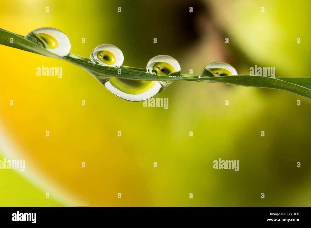 smiley face drops of water on grass apple background Stock Photo